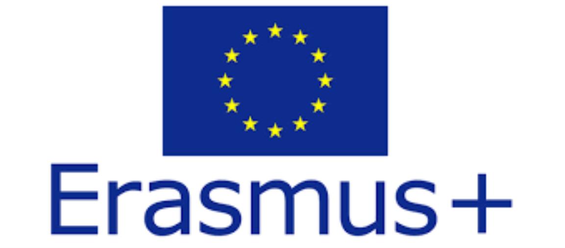 Coronavirus. L'Agenzia Nazionale per i Giovani: "Stop alle attività del programma Erasmus+" images Coronavirus. L'Agenzia Nazionale per i Giovani: "Stop alle attività del programma Erasmus+"