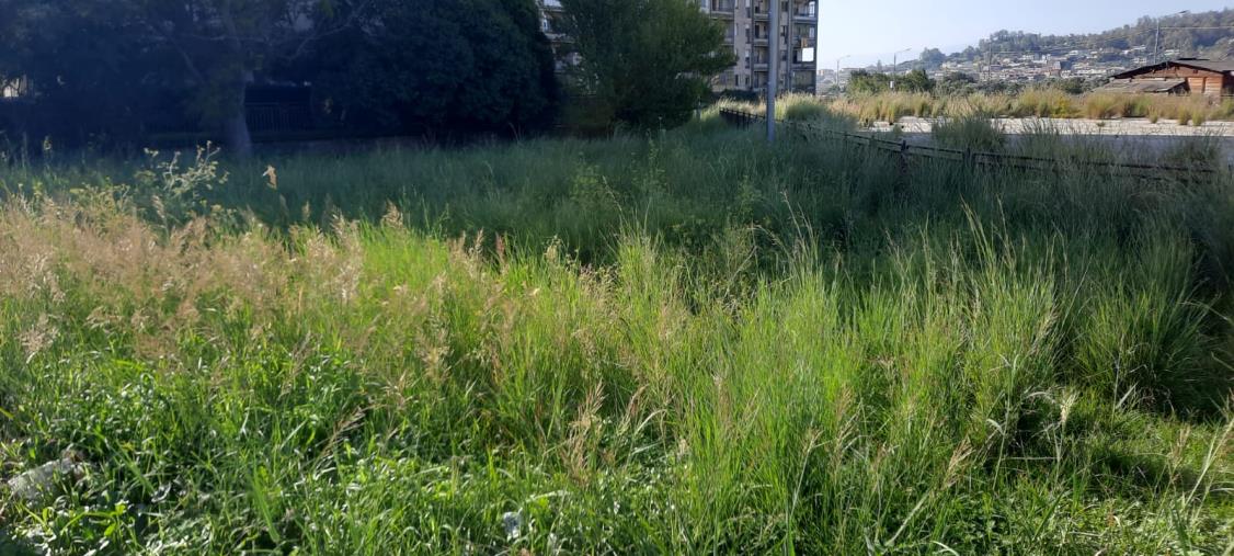 images Catanzaro, l'ex consigliere Mirarchi: "Su decoro e pulizia la musica non è cambiata"