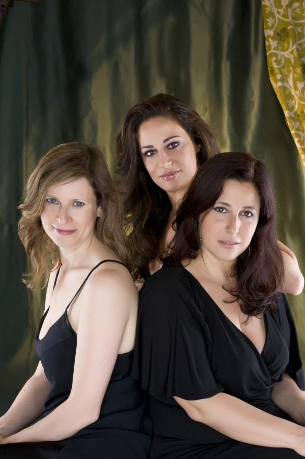 EsTrio in concerto alla Casa della Cultura di Palmi per la stagione musicale AMA Calabria
images EsTrio in concerto alla Casa della Cultura di Palmi per la stagione musicale AMA Calabria