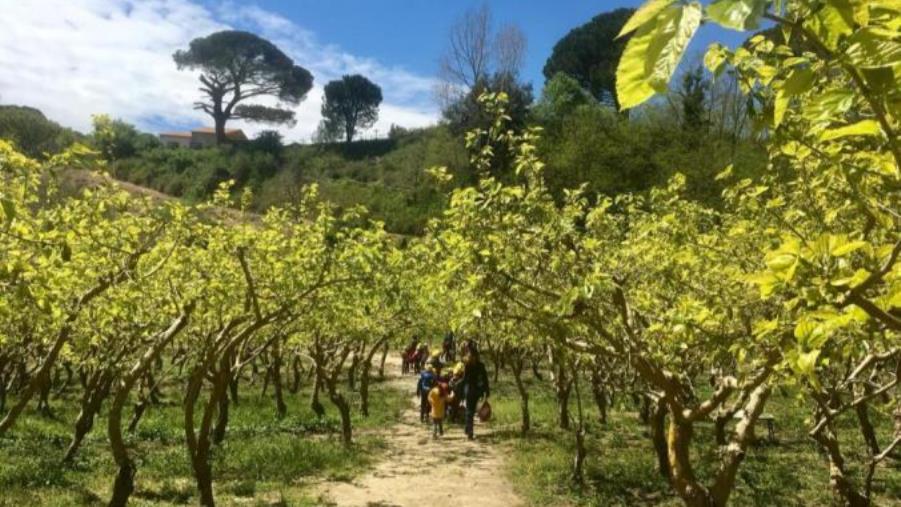 images La seta dei foulard Gucci sarà catanzarese: il brand di lusso "investe" nella Cooperativa 'Nido di Seta' 