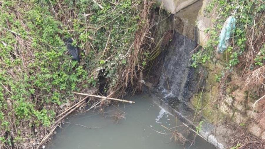 Catanzaro, Riccio e tecnici Asp al Castace per verificare scarichi fognari abusivi  images Catanzaro, Riccio e tecnici Asp al Castace per verificare scarichi fognari abusivi