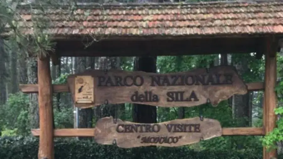 images Al via la 3 giorni per la tutela dell'ambiente e la natura nel Parco Nazionale della Sila 
