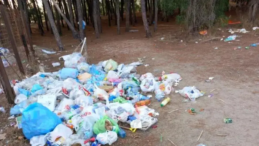 images Sporcizia e abbandono totale alla pineta di Squillace Lido 