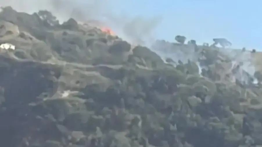 images Catanzaro, grosso incendio lungo la scarpata che da Cavita sale verso Tiriolo
