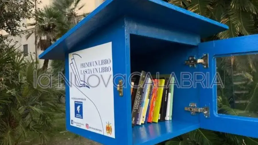 L’associazione Rinnova Catanzaro dona alla città due "casette" per i libri images L’associazione Rinnova Catanzaro dona alla città due "casette" per i libri