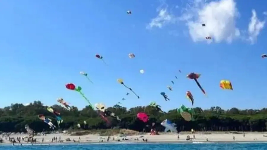 images Aquiloni sul cielo di Giovino, "Lido ha le carte in regole per diventare punto di riferimento turistico/balneare della costa"