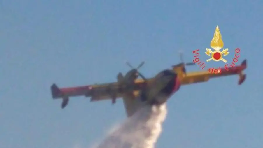 Incendi, in Aspromonte devastati 15 ettari di conifere images Incendi, in Aspromonte devastati 15 ettari di conifere