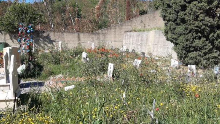 images Cimitero di Santa Maria, avviati i lavori: la soddisfazione dei consiglieri Barberio e Sergi