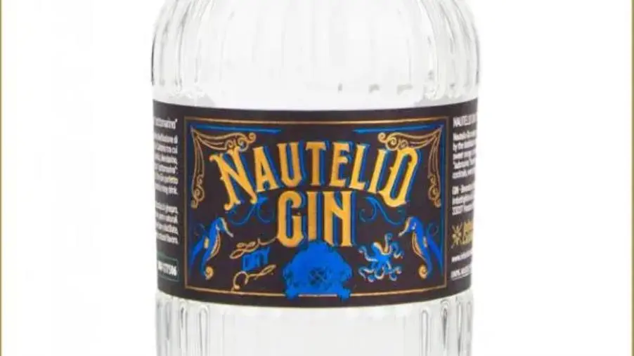 Il gin calabrese Nautelio conquista il premio nazionale “Italy Silver Flavoured Gin” images Il gin calabrese Nautelio conquista il premio nazionale “Italy Silver Flavoured Gin”