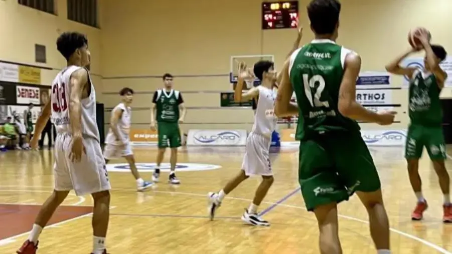 Basket, troppo Corato per il Catanzaro che si arrende 76-101 images Basket, troppo Corato per il Catanzaro che si arrende 76-101