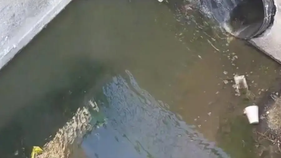 images Catanzaro, Costa (Lega): "Nel quartiere Santa Maria una fogna a cielo aperto" 