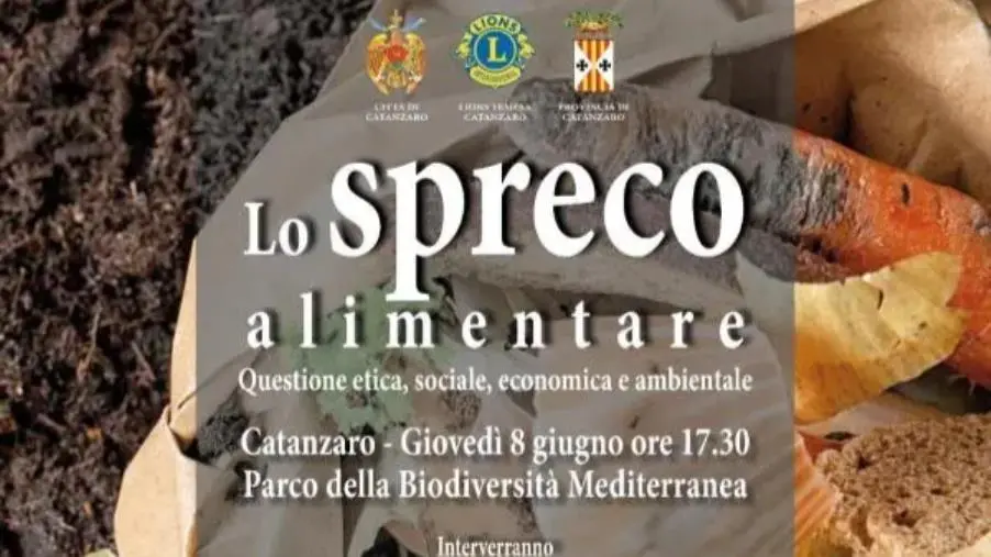 images Lotta allo spreco alimentare nelle scuole, giovedì Lions Temesa e Comune di Catanzaro firmano Protocollo d'intesa