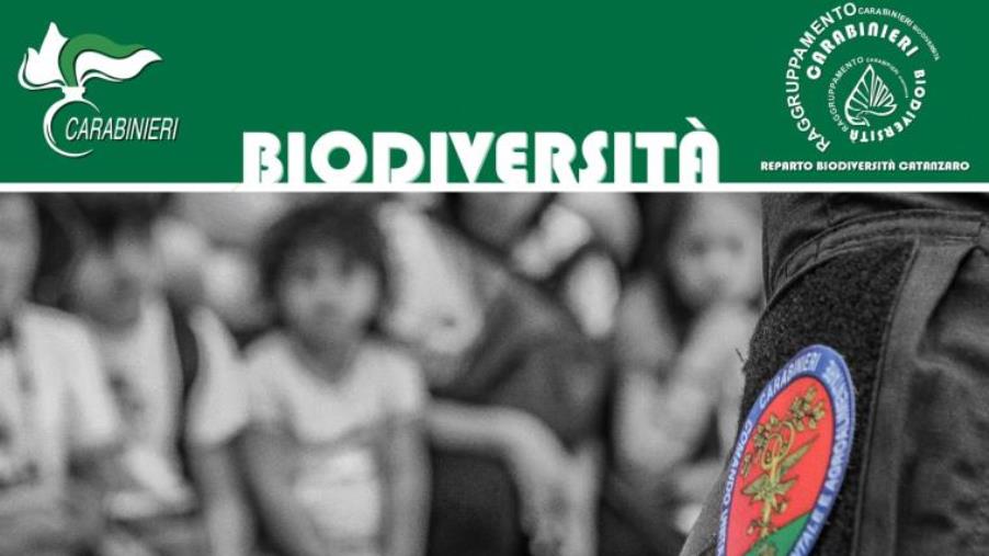 All’ospedale  di Lamezia Terme torna la “Befana della biodiversità” images All’ospedale  di Lamezia Terme torna la “Befana della biodiversità”