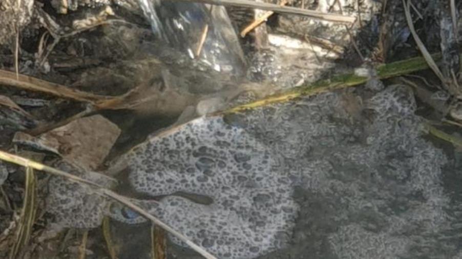 Scarichi abusivi a Catanzaro, Riccio: "Una battaglia da condividere tutti insieme" images Scarichi abusivi a Catanzaro, Riccio: "Una battaglia da condividere tutti insieme"