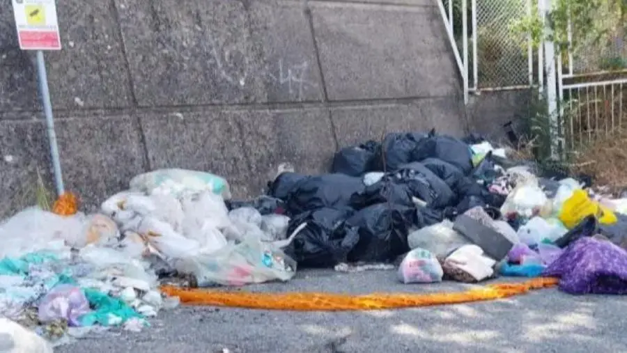 Anas, Scarpino e Veraldi: "È venuto meno il rapporto di fiducia e non escludiamo ogni azione di denuncia entro 7 giorni” images Anas, Scarpino e Veraldi: "È venuto meno il rapporto di fiducia e non escludiamo ogni azione di denuncia entro 7 giorni”