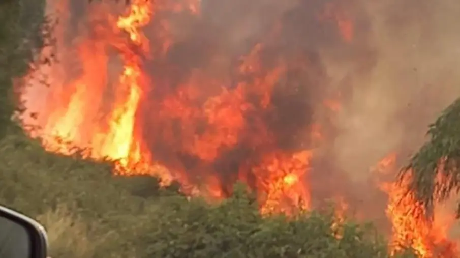 Incendi, i vescovi: "Calabria ferita da criminalità e trascuratezza" images Incendi, i vescovi: "Calabria ferita da criminalità e trascuratezza"