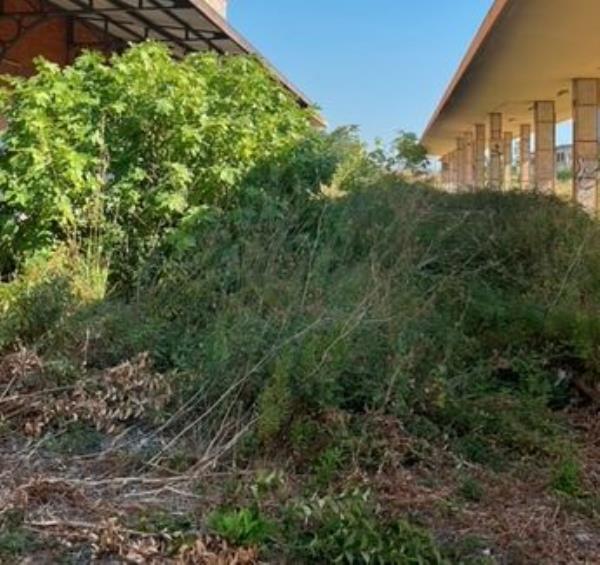 images Catanzaro, Veraldi (Riformisti Avanti): "All'ex stazione Sala un intervento indecoroso"