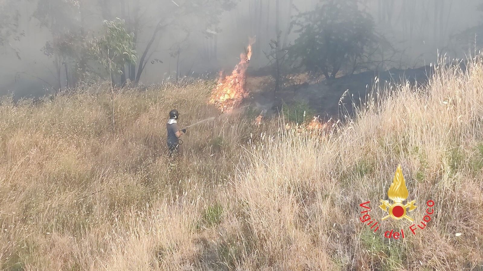 Lamezia, vasto incendio di vegetazione a Sant'Eufemia: fiamme minacciano case e rete ferroviaria images Lamezia, vasto incendio di vegetazione a Sant'Eufemia: fiamme minacciano case e rete ferroviaria