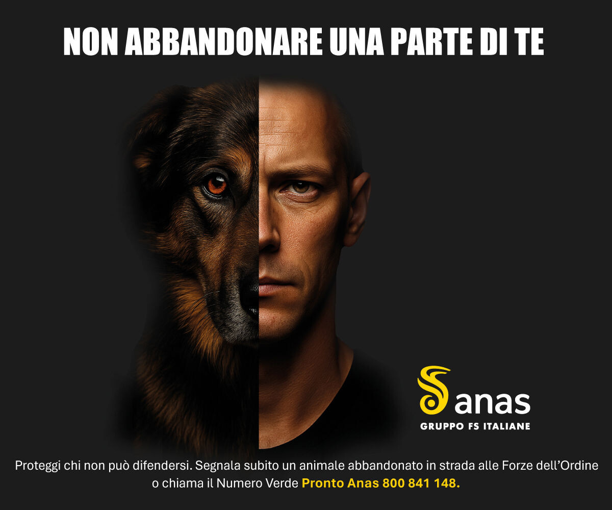images Anas, scatta il piano "Estate sicura 2026": dal 20 luglio al 6 settembre previsti circa mezzo miliardo di spostamenti