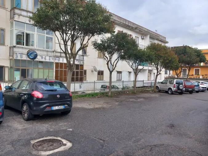 images Catanzaro, risolto in via Pescara a lido il problema degli alberi mai curati: i residenti ringraziano Critelli