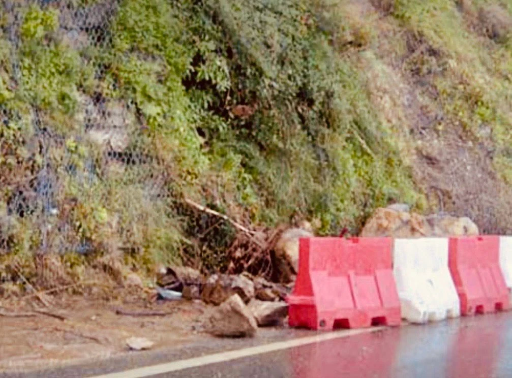 Catanzaro, strade interne al collasso: il Codacons diffida la Provincia