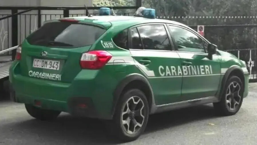 images Truffa contro l’Ente Parco d’Aspromonte e Calabria Verde: denunciata associazione di volontariato&nbsp;