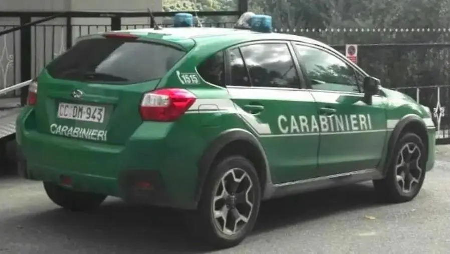 Truffa contro l’Ente Parco d’Aspromonte e Calabria Verde: denunciata associazione di volontariato  images Truffa contro l’Ente Parco d’Aspromonte e Calabria Verde: denunciata associazione di volontariato