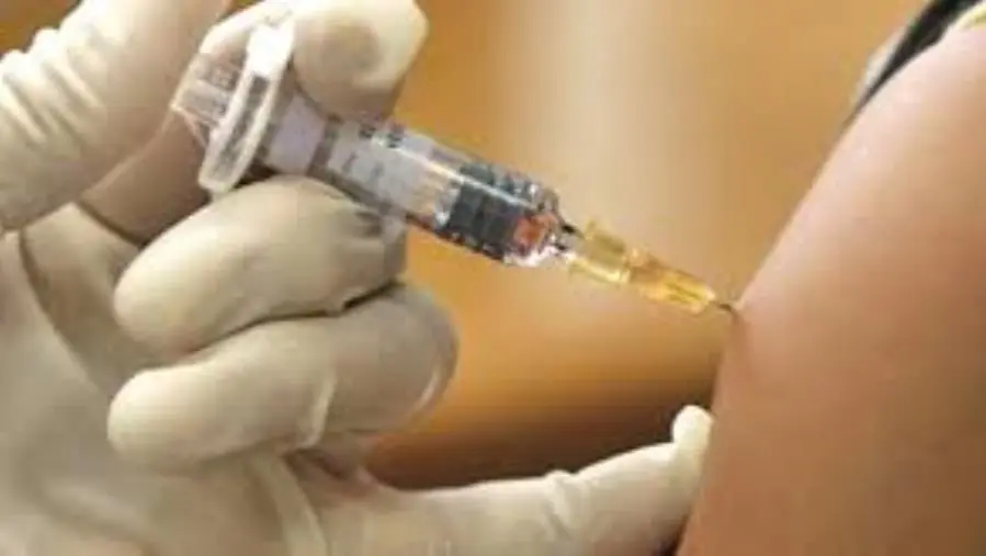 Hantavirus,  passeggero calabrese sotto sorveglianza: attivato anche in Calabria protocollo sorveglianza