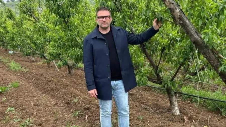 La ricerca dell'Unical per una nuova agricoltura di qualità images La ricerca dell'Unical per una nuova agricoltura di qualità