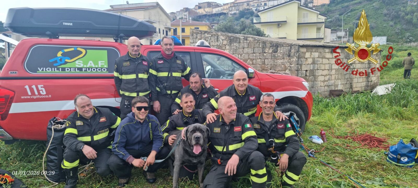 Cane corso precipita in una scarpata nel Cosentino, salvato dai vigili del fuoco images Cane corso precipita in una scarpata nel Cosentino, salvato dai vigili del fuoco