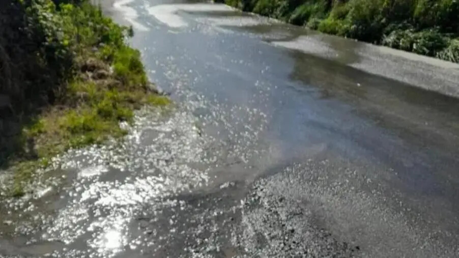 images Catanzaro, i residenti: "Viale Tagliamento la strada che piange" 
