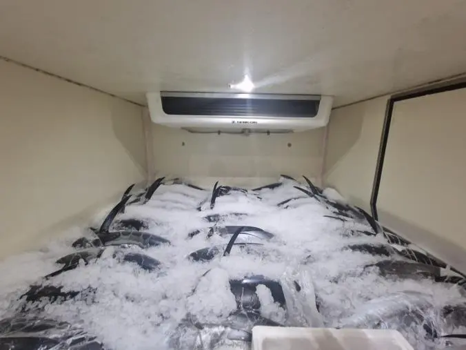 Pesca illegale nel Crotonese, dopo il sequestro il plauso del SAP