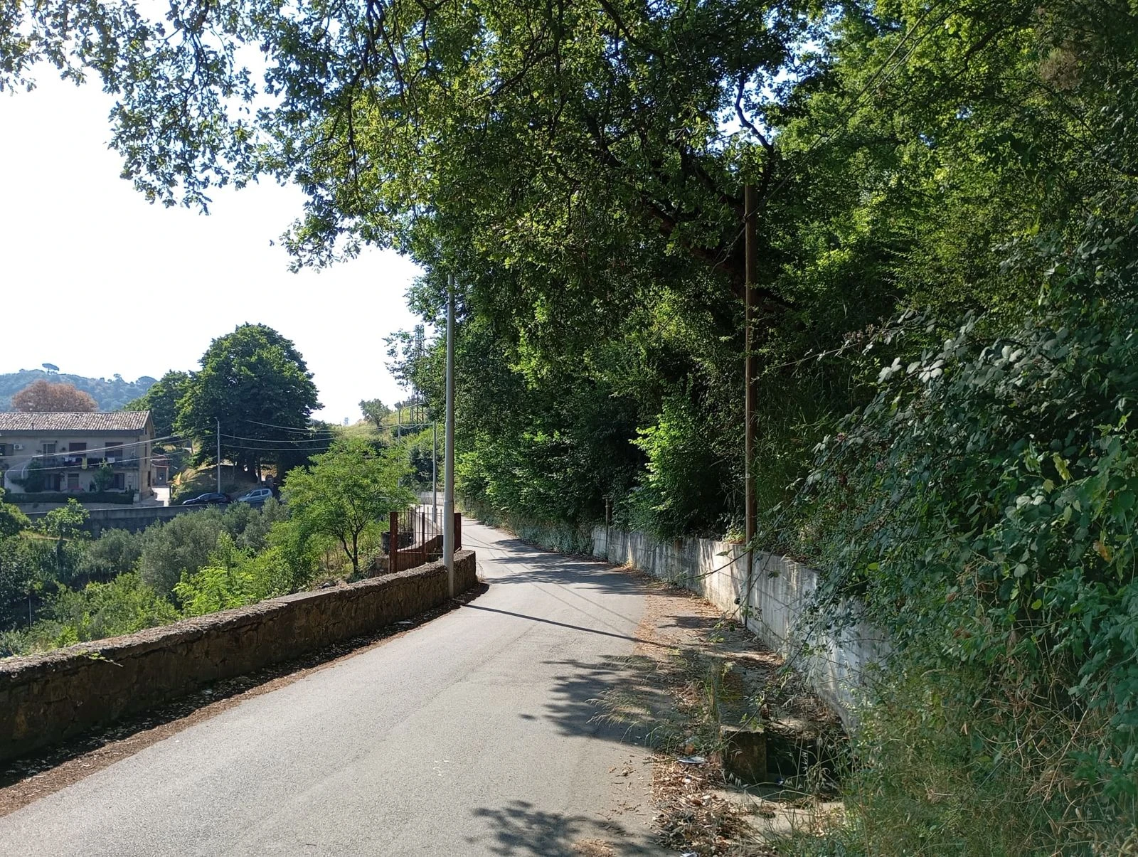Catanzaro, i residenti del borgo Vicenzale denunciano il degrado: “Via Genovesi è ormai invivibile”