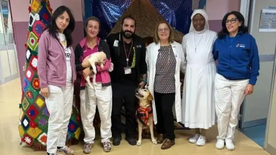 images “Un’ unità cinofila in reparto”: visita agli anziani e ai bambini con la pet therapy