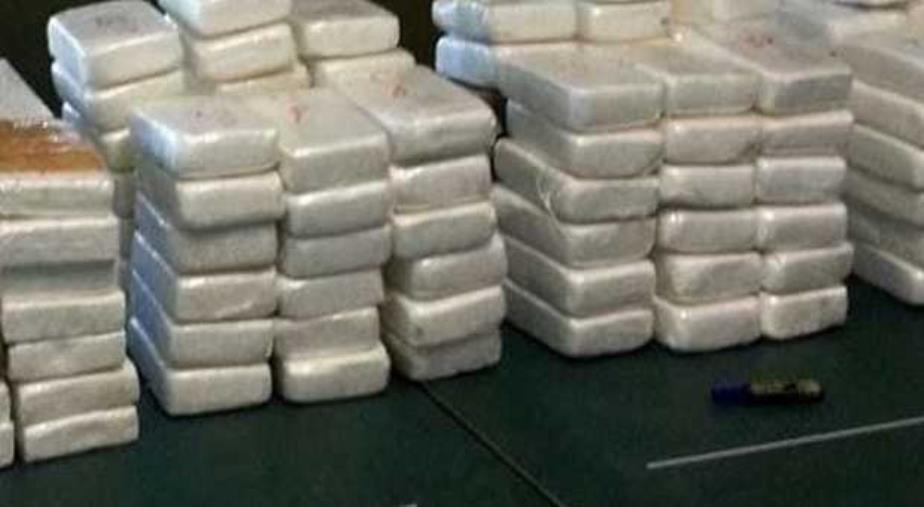 images Gioia Tauro, oltre 500 chili di cocaina nascosti tra le buste del Real Madrid: arrestato Rocco Molè