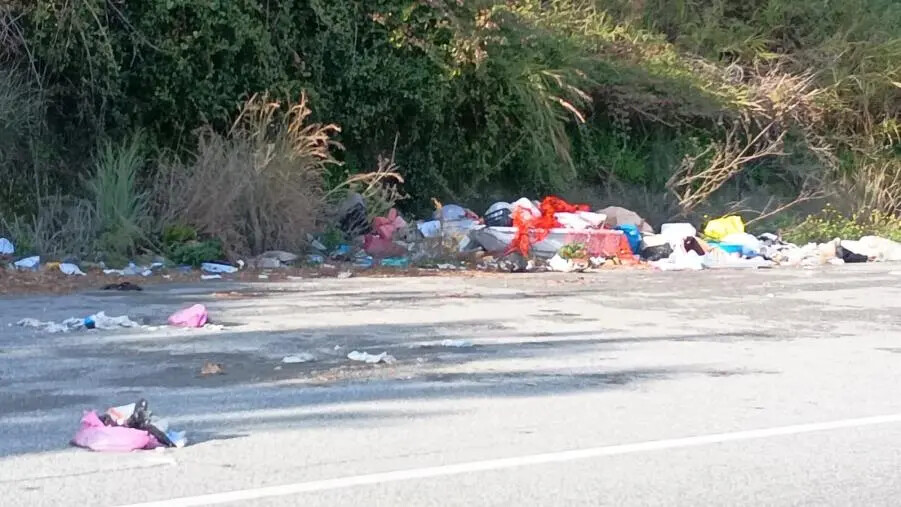 Catanzaro, via Smaldone: due mesi dopo la segnalazione tutto è rimasto uguale images Catanzaro, via Smaldone: due mesi dopo la segnalazione tutto è rimasto uguale