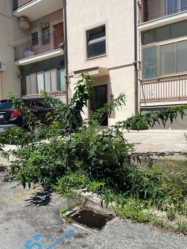 images "Degrado a Pontepiccolo e cittadini in pericolo": la denuncia di Alleanza per Catanzaro 