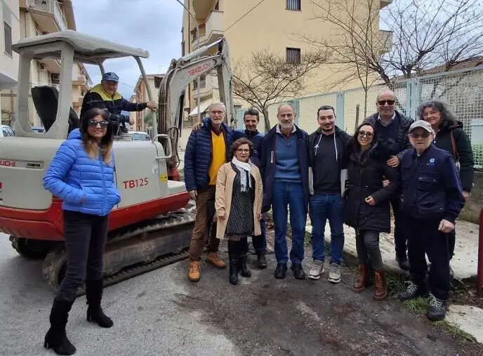 images Piantumati 3 alberi a Castrovillari: l'iniziativa di Solidarietà e Partecipazione con Isde Italia Medici per l’Ambiente