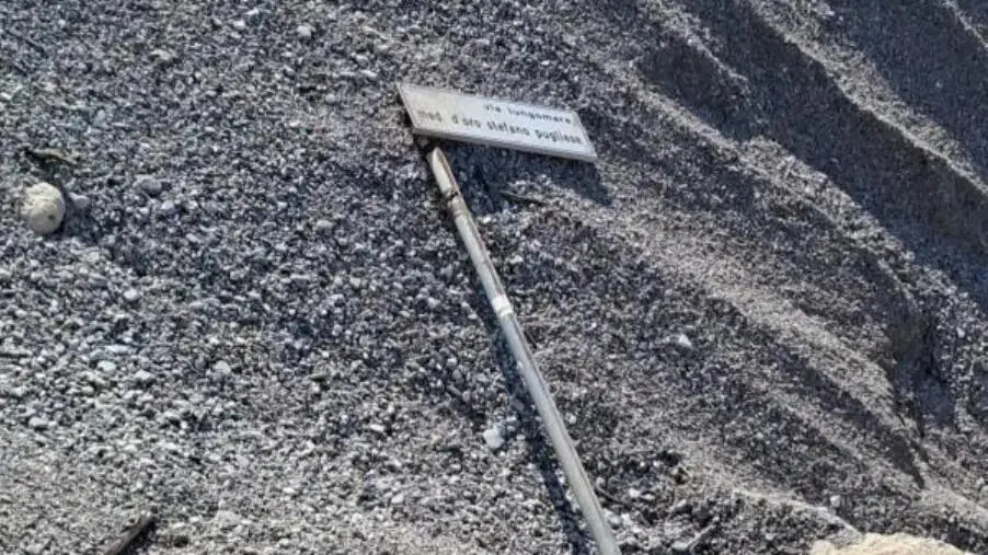 Catanzaro, Laudadio: "Lido e il lungomare nel degrado assoluto a pochi giorni dalla stagione balneare" images Catanzaro, Laudadio: "Lido e il lungomare nel degrado assoluto a pochi giorni dalla stagione balneare"