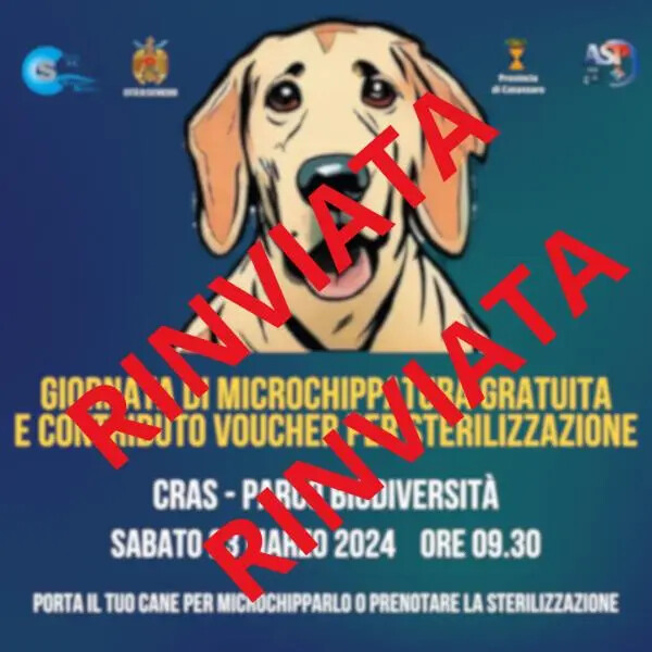 images Catanzaro, rinviata per problemi logistici la Giornata di microchippatura gratuita e contributo sterilizzazione cani
