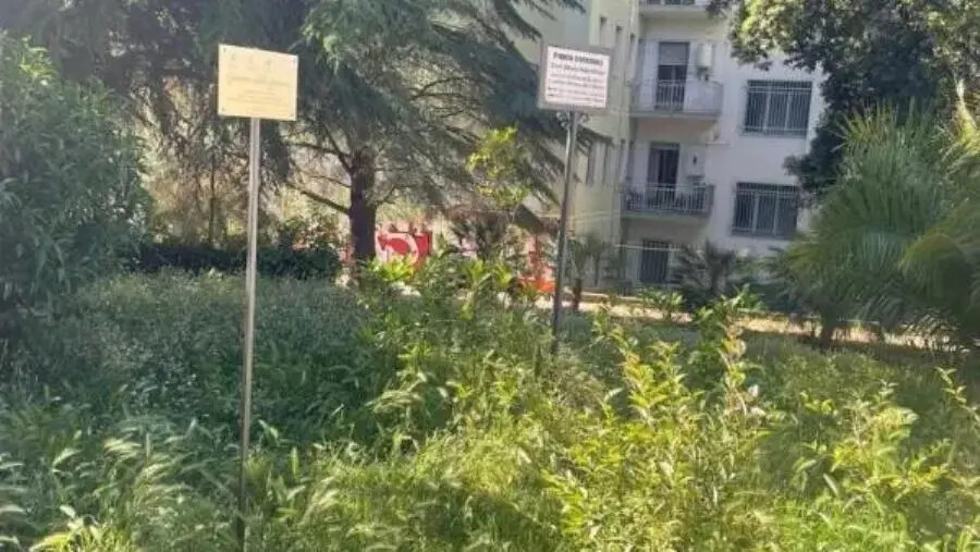 images Il disonore della memoria, Cannistrà: “Il caso del Parco Carlo Alberto dalla Chiesa a Catanzaro”