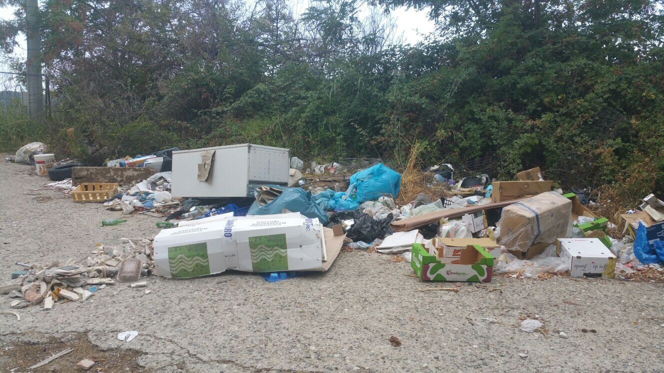 images Rifiuti sulla Provinciale 25 ad Albi, il consigliere Angotti chiede chiarezza sulle competenze