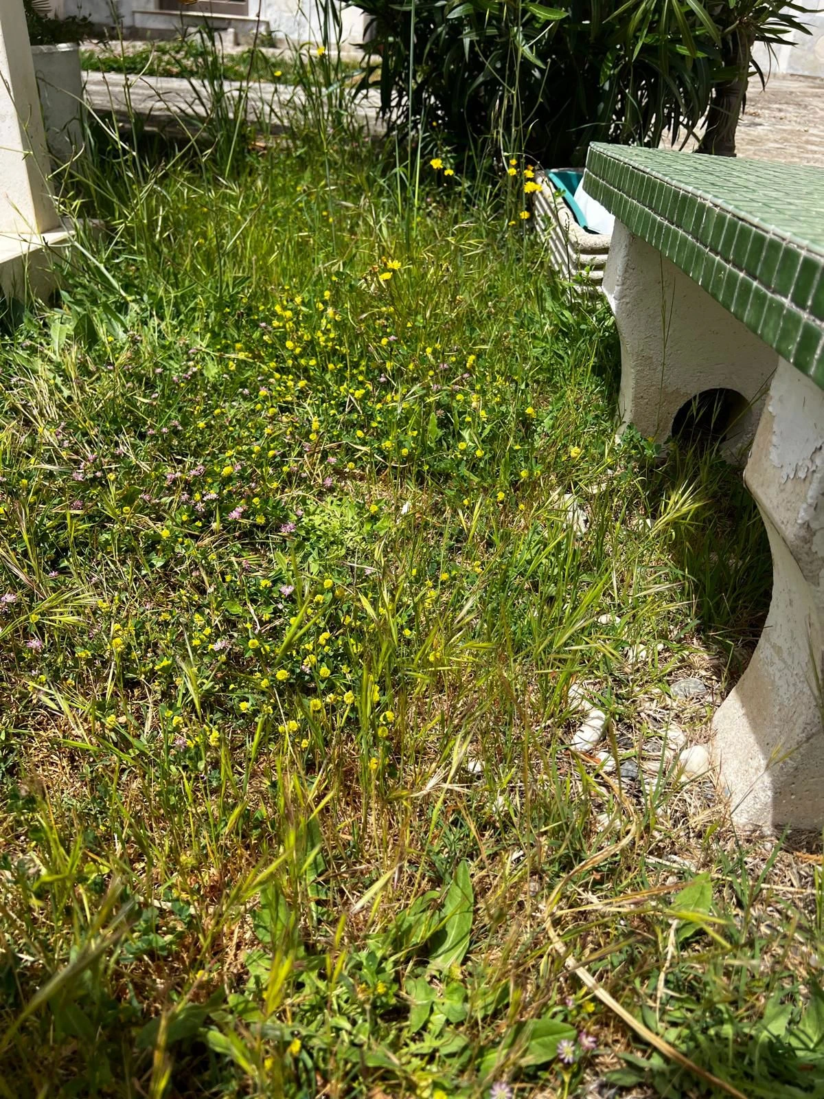 Cimitero di Catanzaro, Silipo: “Almeno lì un po’ di decoro”
