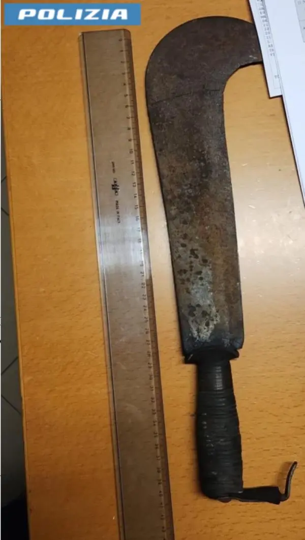 Vibo, in auto con una roncola: denunciato  images Vibo, in auto con una roncola: denunciato