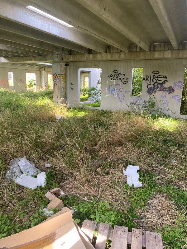 A Giovino fabbricato preda dell'incuria. La denuncia di Aurelia Granato e Stefano Veraldi: "Sembra una giungla" images A Giovino fabbricato preda dell'incuria. La denuncia di Aurelia Granato e Stefano Veraldi: "Sembra una giungla"