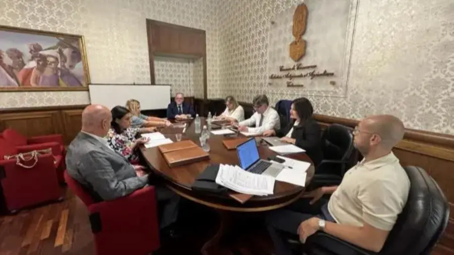 Catanzaro, la giunta della Camera di Commercio vara il programma di valorizzazione degli attrattori
  images Catanzaro, la giunta della Camera di Commercio vara il programma di valorizzazione degli attrattori