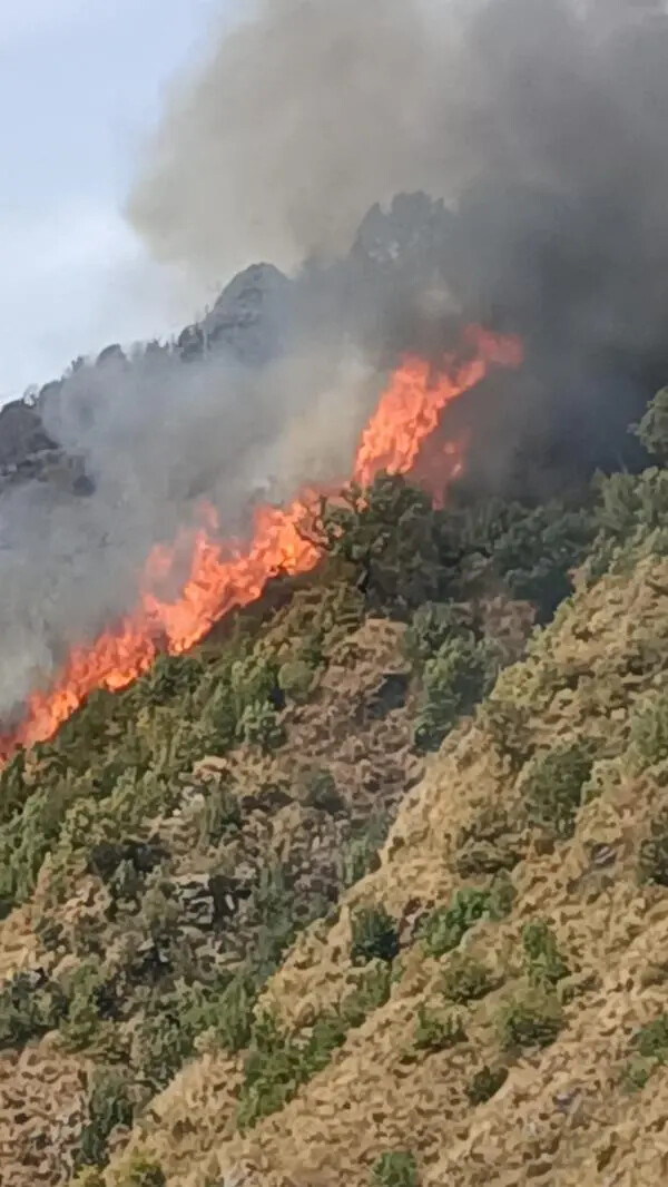 images Emergenza incendi a Gimigliano: da 30 ore fiamme senza sosta&nbsp;