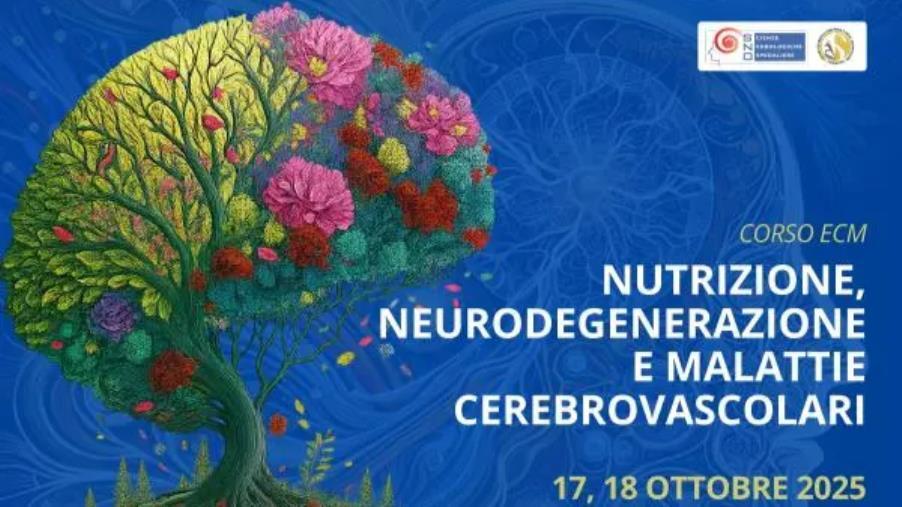 images A Catanzaro il III Congresso su "Nutrizione, neurodegenerazione e malattie cerebrovascolari"