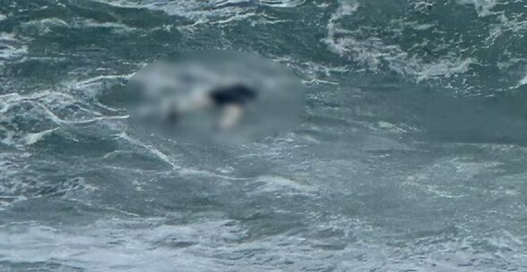 images Cadaveri nel Tirreno, un comune nel Cosentino pronto ad accoglierli