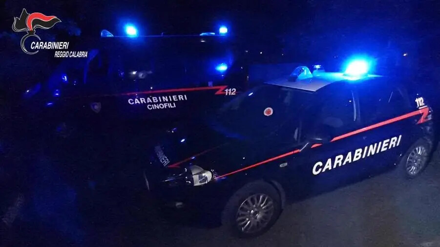 images Furti di auto consumati e tentati nel Reggino, 4 arresti 